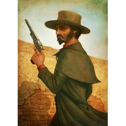 Outlaws: Last Man Standing Carte