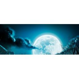 Tales of Evil Artwork