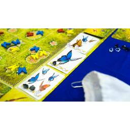 Dust in the Wings Zoom