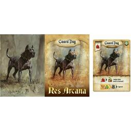 Res Arcana Cartes
