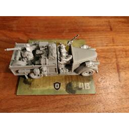 Inflexibles: Afrique du Nord Zoom