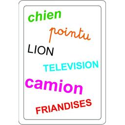Tam Tam: Safari - Les Mots en ien, ion, ian, ein, oin, ain Carte