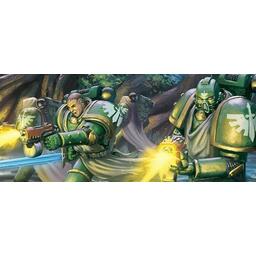 Warhammer 40,000: Conquest - Impardonné Artwork