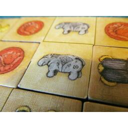 Trésor de la Momie Zoom