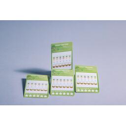 Rolling Realms Eclate