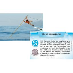 Bioviva ! Planète: Mers et Océans Eclate