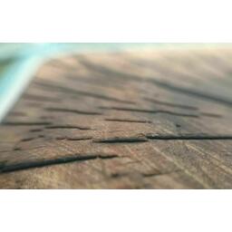 Cortex: Challenge Zoom