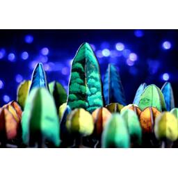 Photosynthesis: Under the Moonlight Zoom