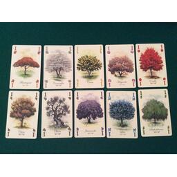 Arboretum Cartes