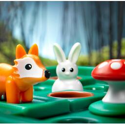 Lièvres & Renards Zoom