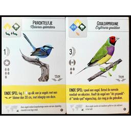 Wingspan: Extension Océanie Cartes