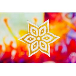 Holi: Festival des Couleurs Zoom