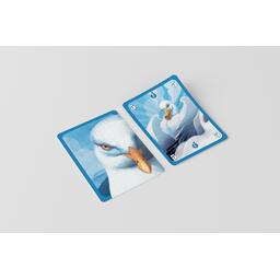 Drones Vs Goélands Eclate