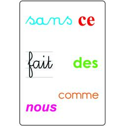 Tam Tam: Safari - Les Mots-Outils du CP Carte