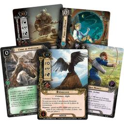 Le Seigneur des Anneaux: Le Jeu de Cartes - La Terre des Lamentations Cartes