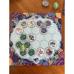 Octopus's Garden Eclate