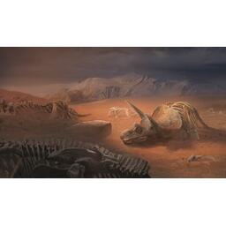 Unlock ! Exotic Adventures Artwork