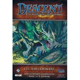 Descent: Voyages Dans les Ténèbres (Seconde Édition) - Les Âmes Oubliées Cover