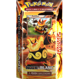 Pokémon: Noir & Blanc - Roitiflam Cover Transparent