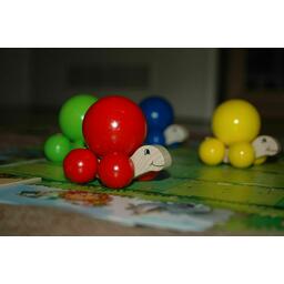 La Tortue Tatoune Zoom