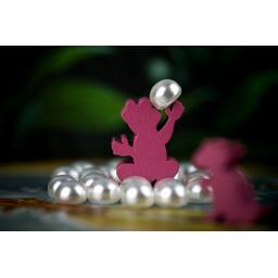 Everdell: Pearlbrook Zoom