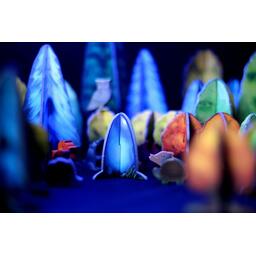 Photosynthesis: Under the Moonlight Zoom