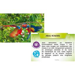 Bioviva ! Planète: Jungles et Forêts Eclate