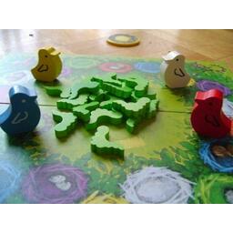 Kleiner Spatz Eclate