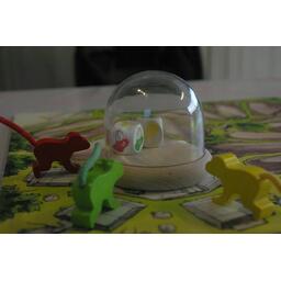 Le Monde de l'Aventure Zoom