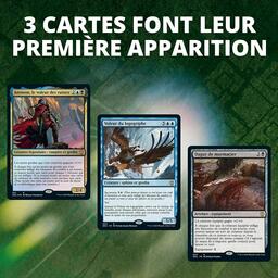 Magic: The Gathering - Commander - Attaque Furtive Story