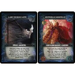 Thunderstone: La Colère des Éléments Cartes