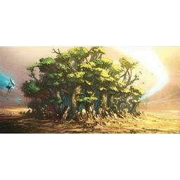 Living Planet: Arboria Cover