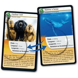 Défis Nature: Records des Animaux Cartes