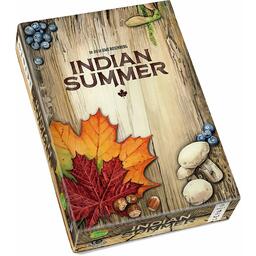 Indian Summer Cover 3d