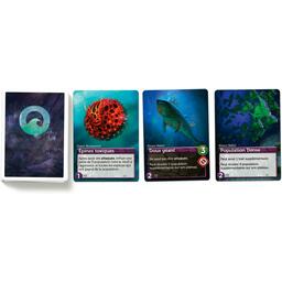 Océans: Édition Limitée Cartes