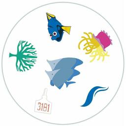 Dobble: Le Monde de Dory Carte