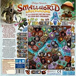 Small World: Underground Back
