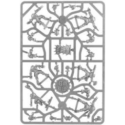 Blood Bowl: The Game of Fantasy Football - Middenheim Maulers Eclate