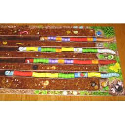 Le Rallye des Vers de Terre Eclate