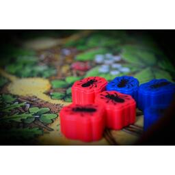 Gare à la Toile Zoom