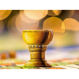 Expédition à Newdale Zoom