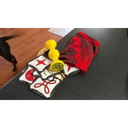 Jungle Speed 2017 Eclate