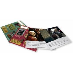 BrainBox: Harry Potter Cartes