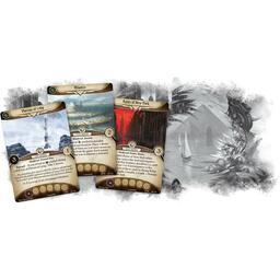 Horreur à Arkham: Le Jeu de Cartes - Paradoxes Temporels Cartes