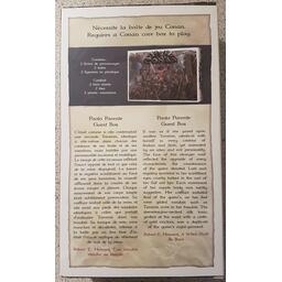 Conan: Paolo Parente Guest Box Back 3d