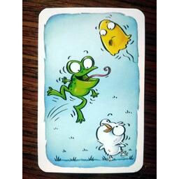 Bazar Bizarre: Junior Carte