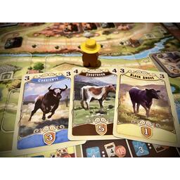 Great Western Trail 2022 Zoom