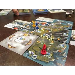 The 7th Continent Zoom