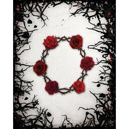 Black Rose Wars: Hidden Thorns Cover