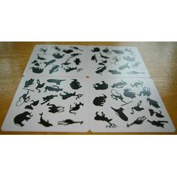 Panicozoo 2006 Cartes